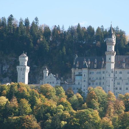 Haflingerhof Appenstein Villa Pinswang Buitenkant foto