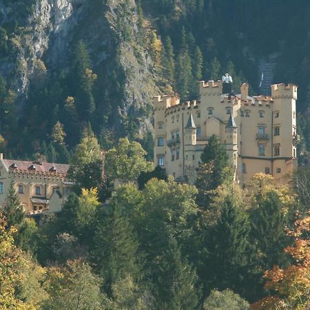 Haflingerhof Appenstein Villa Pinswang Buitenkant foto