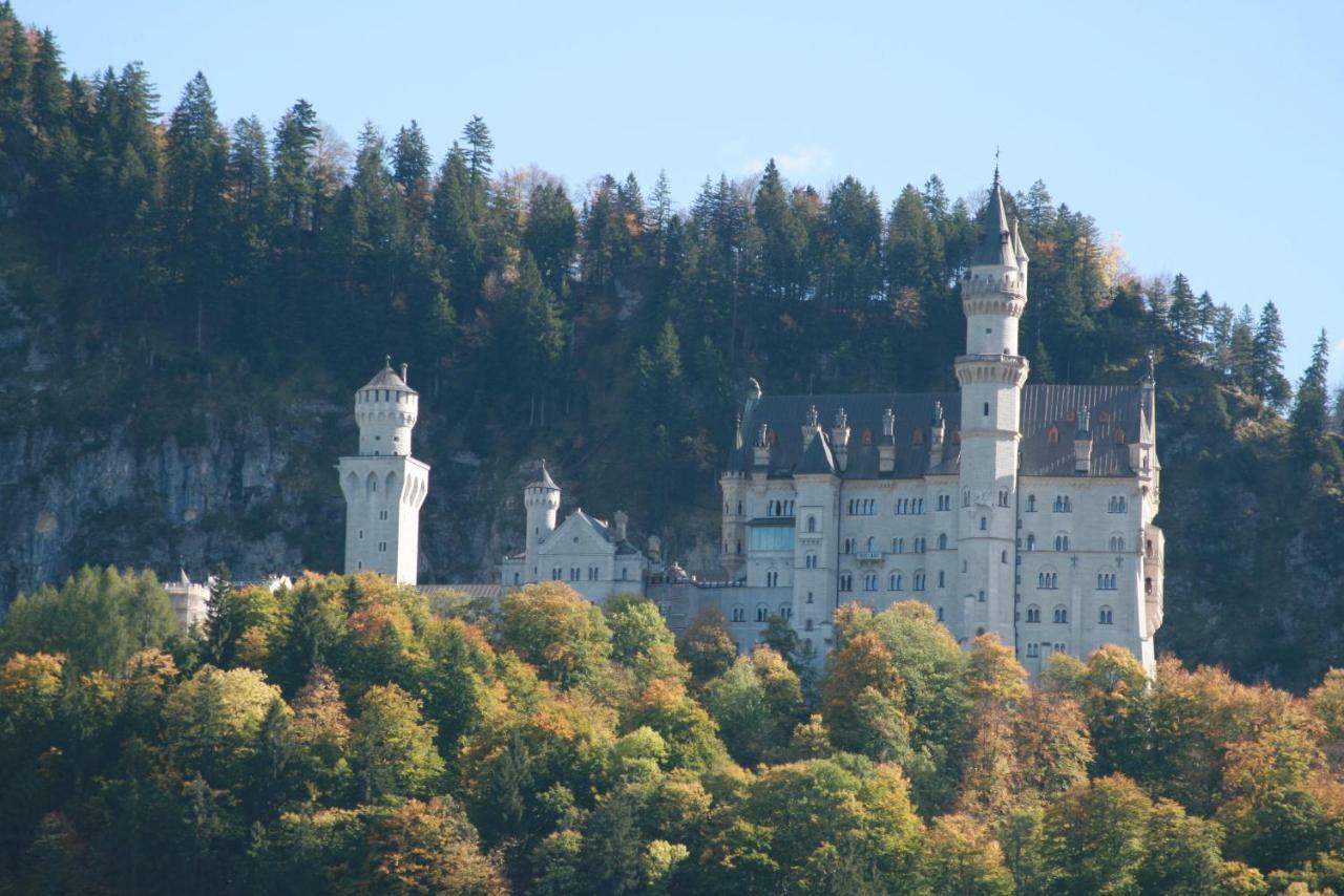 Haflingerhof Appenstein Villa Pinswang Buitenkant foto